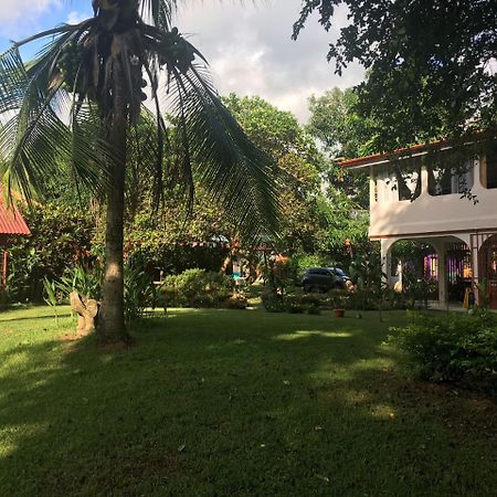 Casa Ballena Eco Hostel Uvita Exteriör bild