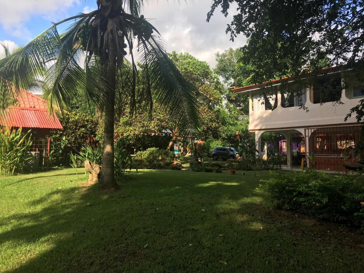 Casa Ballena Eco Hostel Uvita Exteriör bild