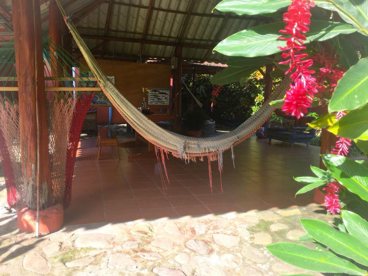 Casa Ballena Eco Hostel Uvita Exteriör bild