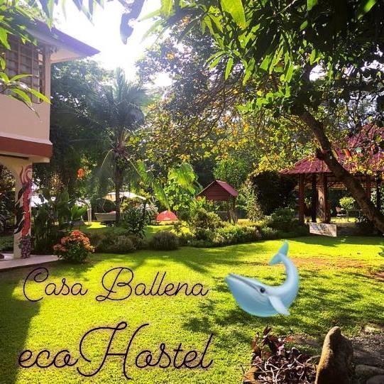 Casa Ballena Eco Hostel Uvita Exteriör bild