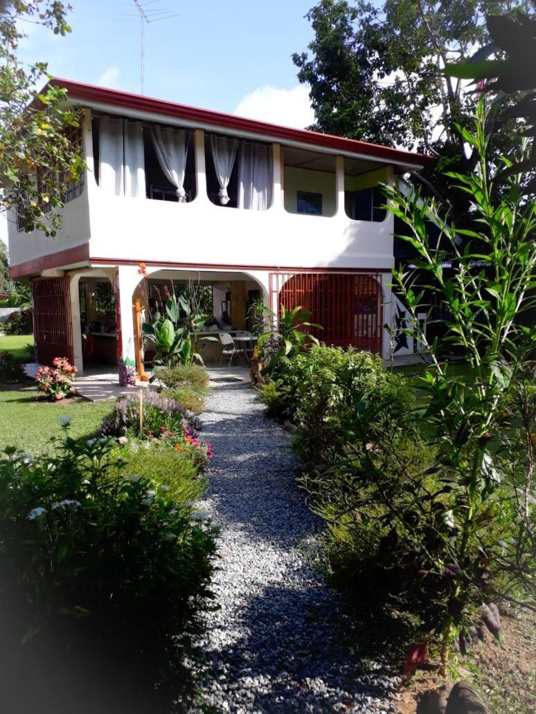 Casa Ballena Eco Hostel Uvita Exteriör bild